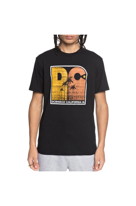 T-shirt DC Shoes Sunset Palm noir